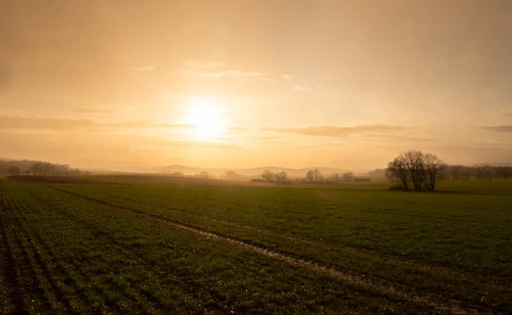 Sonnenschein bei Regen