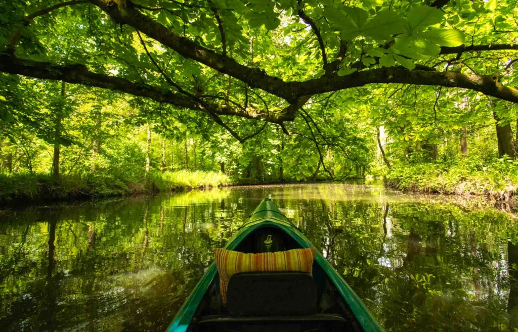Kanu in der Spree