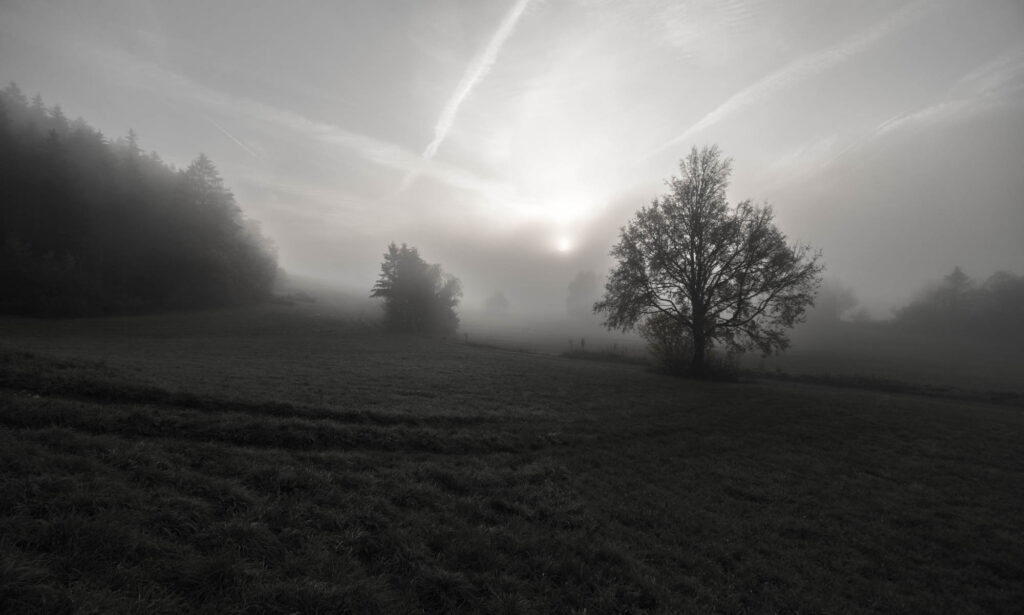 Morgennebel